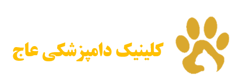 کلینیک دامپزشکی عاج